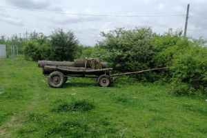 I.L. Caragiale: Un atelaj hipo a acroşat un băieţel de şapte ani