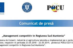 Management competitiv in Regiunea Sud Muntenia