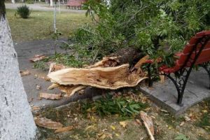 Furtuna face ravagii in Ploiesti. Copaci rupti si acoperisuri smulse de vant