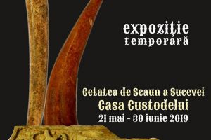 Obiecte din os şi corn, preistorice şi medievale, la Cetatea de Scaun a Sucevei
