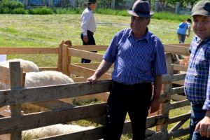 Ioan Gliga, viceprimarul cu dragoste  pentru creşterea animalelor