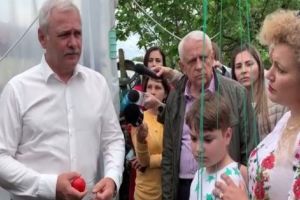 Bani pentru depozite de fructe şi legume