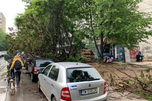 Copaci căzuţi, acoperişuri luate de vânt şi fire de curent căzute, după furtună, în judeţul Timiş