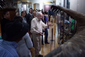 Număr record de vizitatori la muzeele arădene, într-o singură seară (GALERIE FOTO)