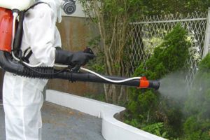 Atenţie, se stropeşte cu INSECTICID în Piteşti!