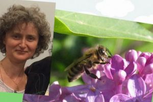 Seminar Apiterapie altfel. Nutrimente şi îngrijiri princiare de la albine