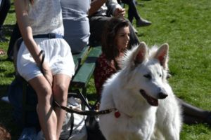 Concurs de frumuseţe pentru animale la USAMV