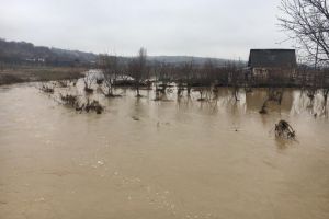 Ploile au făcut ravagii! Gospodării inundate şi culturi compromise în judeţul Satu Mare