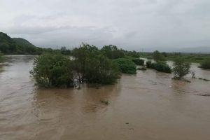 FOTO. Inundaţii în judeţul Satu Mare. Pompierii, pregătiţi să intervină