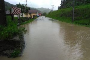 2 oraşe şi 14 comune, afectate de inundaţii. Bilanţul pagubelor