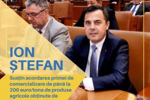 Viticultorii ar putea primi 200 de euro/tona de struguri comercializaţi