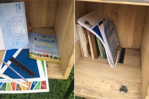 FOTO: Gestul tinerei avocate din Alba Iulia venit ca o provocare pentru educaţie, continuă