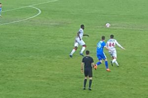 Plumb în picioarele Sibiului – FC Hermannstadt pierde cu 0-2 cu Botoşani