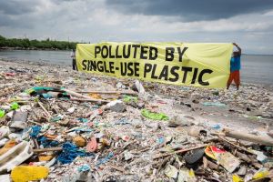 Fără plastic! Tacâmurile, farfuriile, paiele sau beţişoarele de urechi, interzise în statele din Uniunea Europeană