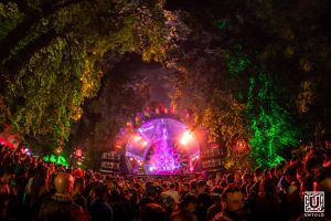 Artiştii care vor urca pe scenele Forest şi Fortune la UNTOLD 2019