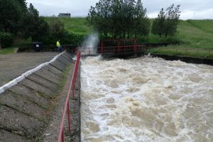 FOTO. Ploile continuă să facă ravagii. Gospodării inundate la Călineşti-Oaş