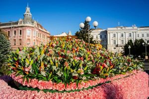 Aradul se va umple de FLORI! Figurine din mii de flori, concerte şi dansuri stradale – atracţiile evenimentului „FlorAr”