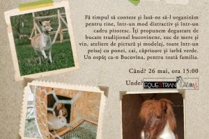 Ospăţ în Bucovina, brunch tradiţional cu scop umanitar