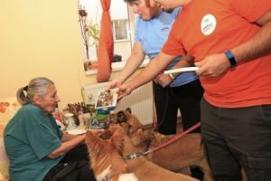 Terapie cu animale pentru bătrânii din Sectorul 6