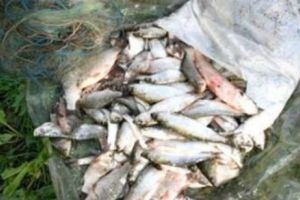 Culmea tupeului! A fost furată şalupa cu care erau urmăriţi braconierii