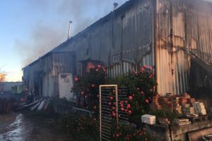 Brutarie din Tuzla, distrusa in totalitate de un incendiu. Cui apartinea afacerea si ce spune proprietarul despre nefericitul eveniment (galerie foto)