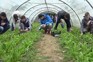 Școala românească s-a schimbat mult după aderarea la UE, însă, pentru a fi competitivă, ar avea nevoie de mai multe investiţii