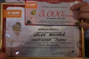 Sauvignon Blanc de la ”Valea Ascunsă” Teaca, ”Regizor al vinului alb”