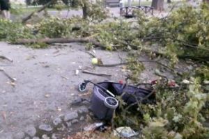 ”Uraganul” de la Cluj a prins o familie în Parcul Central. Copacii cădeau în jurul lor - FOTO