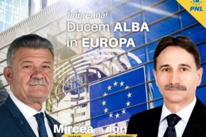 (P) Comunicat de presă: PNL e singurul partid care poate promova o Românie sigură şi demnă în Europa