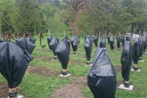 Percheziţii în Harghita şi Bacău şi mandate de aducere a persoanelor care au profanat cu saci negri crucile eroilor români în cimitirul din Valea Uzului