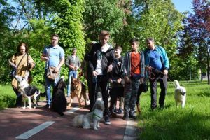 Eveniment inedit la Sibiu – Invitaţie la o plimbare cu câinii prin parc