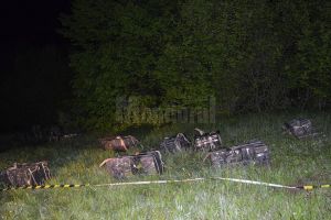 Zece focuri de armă trase după contrabandişti, dar aceştia au reuşit să fugă peste ...