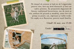 Brunch tradiţional în scop umanitar, la Mitocu Dragomirnei