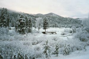 „Earna în Bucovina”