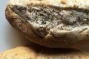 NEWS ALERT. Se retrag cornurile din mai multe şcoli cărăşene! Părinţii elevilor au descoperit mucegai! [VIDEO]