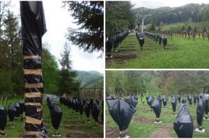 Viceprimarul din Sânmartin, percheziţionat şi dus la audieri după provocarea din cimitir