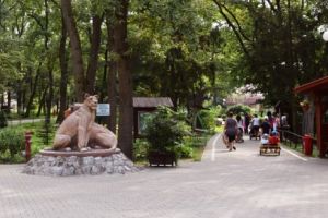 Noapte de vis la Zoo Târgu-Mureş!