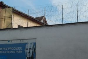Bărbat încarcerat pentru furt de material lemnos