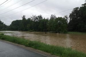 Infiltraţiile la digul de pe râul Tur au fost stopate. Zona va fi monitorizată în continuare