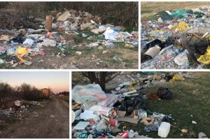 Primăriile Timişoara şi Giroc, amendate de Garda de Mediu, în urma sesizării unui cititor TION