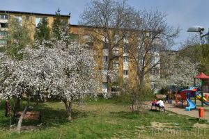 Regulamentul de spaţii verzi, atacat în instanţă de o asociaţie de proprietari din Rogerius