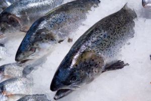 Un inspector al DSVSA face dezvăluiri uluitoare despre peştele pe care îl consumăm din supermarketuri