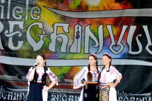 Zilele Municipiului Reghin, în perioada 12-14 iulie