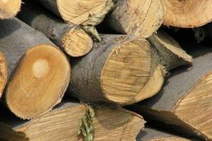 Transport de material lemnos confiscat de poliţişti