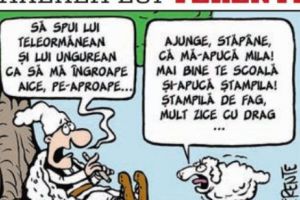 Părerea lui Terente