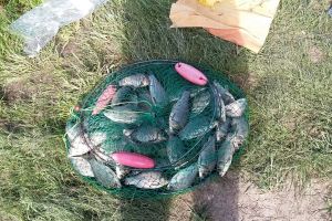 FOTO Pescari arşi la buzunare de jandarmi, în urma unor controale: 14 sancţiuni aplicate