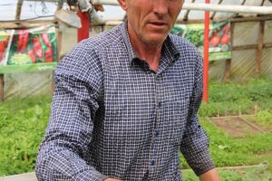 Răsaduri dintre cele mai diverse, experimentate de legumicultorul Vasile Mătrăşoaia