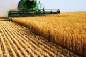 Bani in plus pentru fermierii care angajeaza tineri cu studii de specialitate in domeniul agriculturii