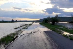 APIA, Direcţia Agricolă şi ANAF, în comisiile de evaluare a pagubelor inundaţiilor