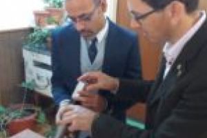 Un aparat medical unic în Caraş-Severin a ajuns la spitalul din Caransebeş